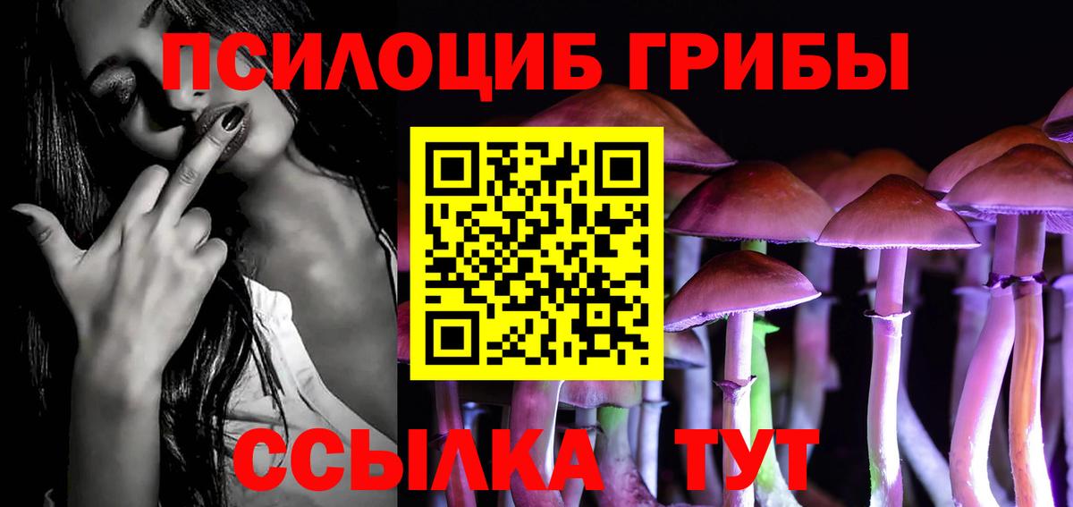 Урюпинск  что такое   Вход с VPN  Псилоцибиновые грибы Cubensis  Галлюциногенные грибы GOLDEN TEACHER 